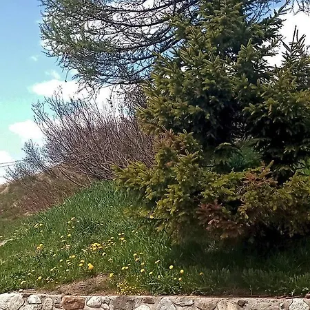 21 Adamello Apartment *